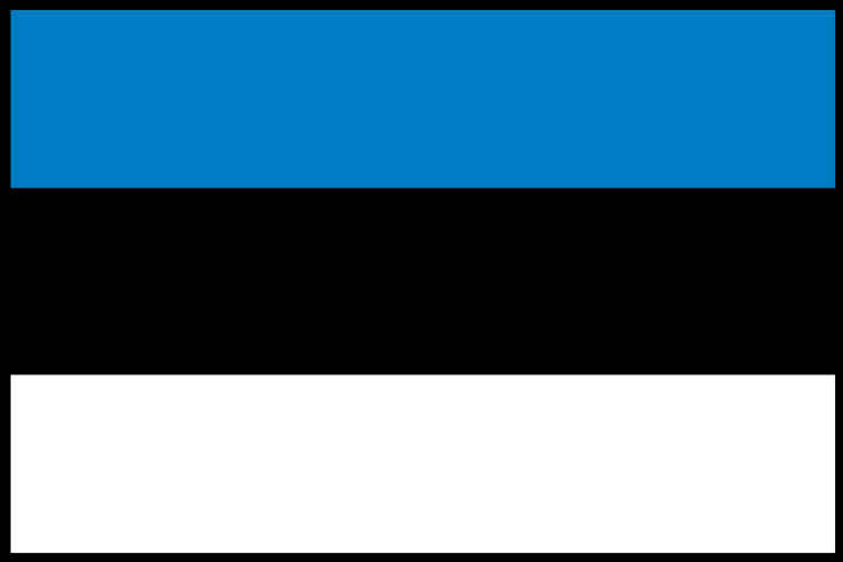buy Estonia Flag
